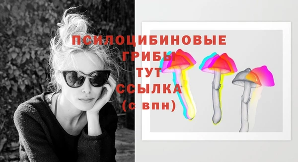 амф Горно-Алтайск