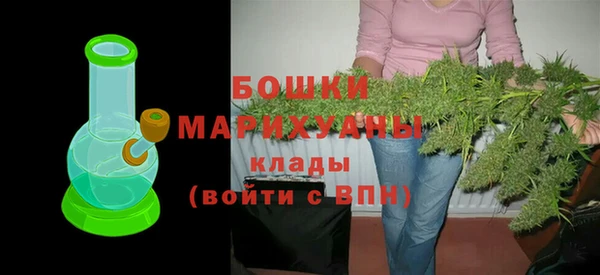 Альфа ПВП Горняк