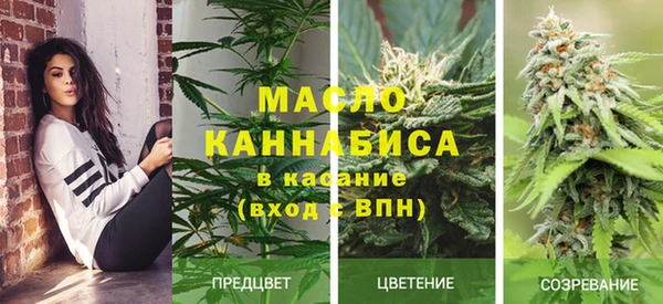 Альфа ПВП Горняк
