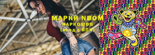 Альфа ПВП Горняк