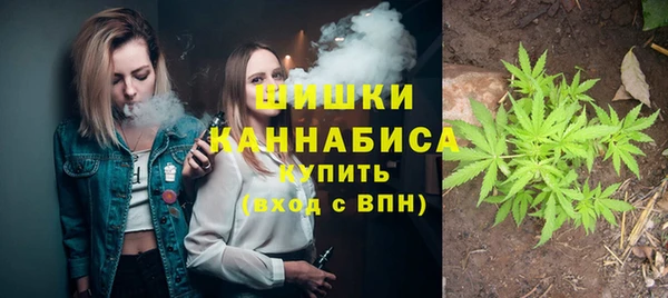 Альфа ПВП Горняк