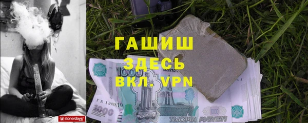 Альфа ПВП Горняк
