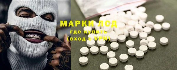 Альфа ПВП Горняк