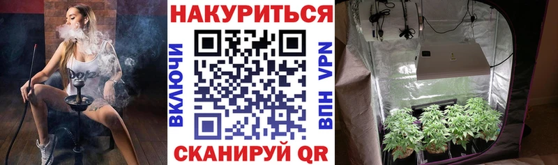 shop какой сайт  Невель  Бошки Шишки THC 21% 